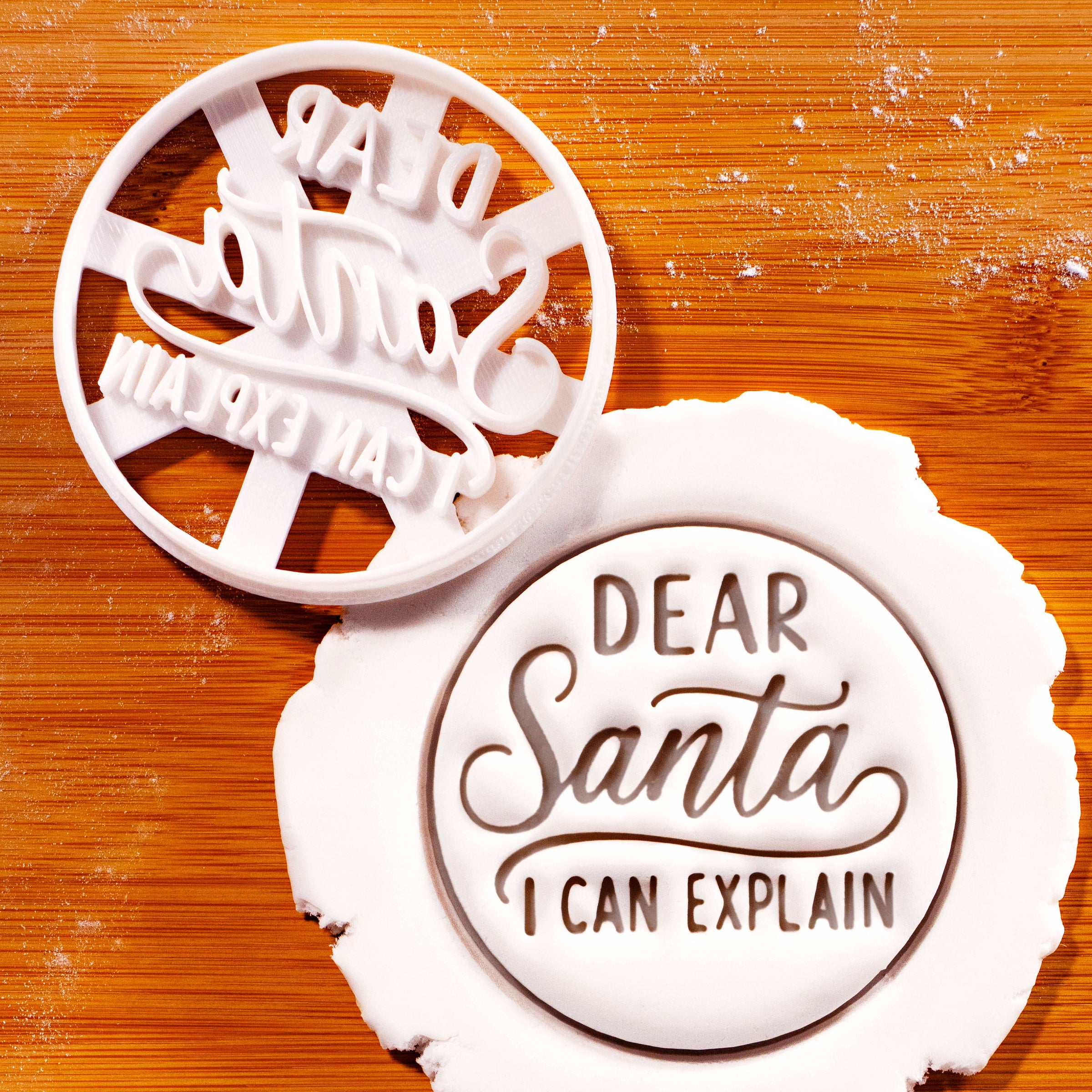 Dear Santa I Can Explain