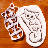 Sugar Glider on Tree