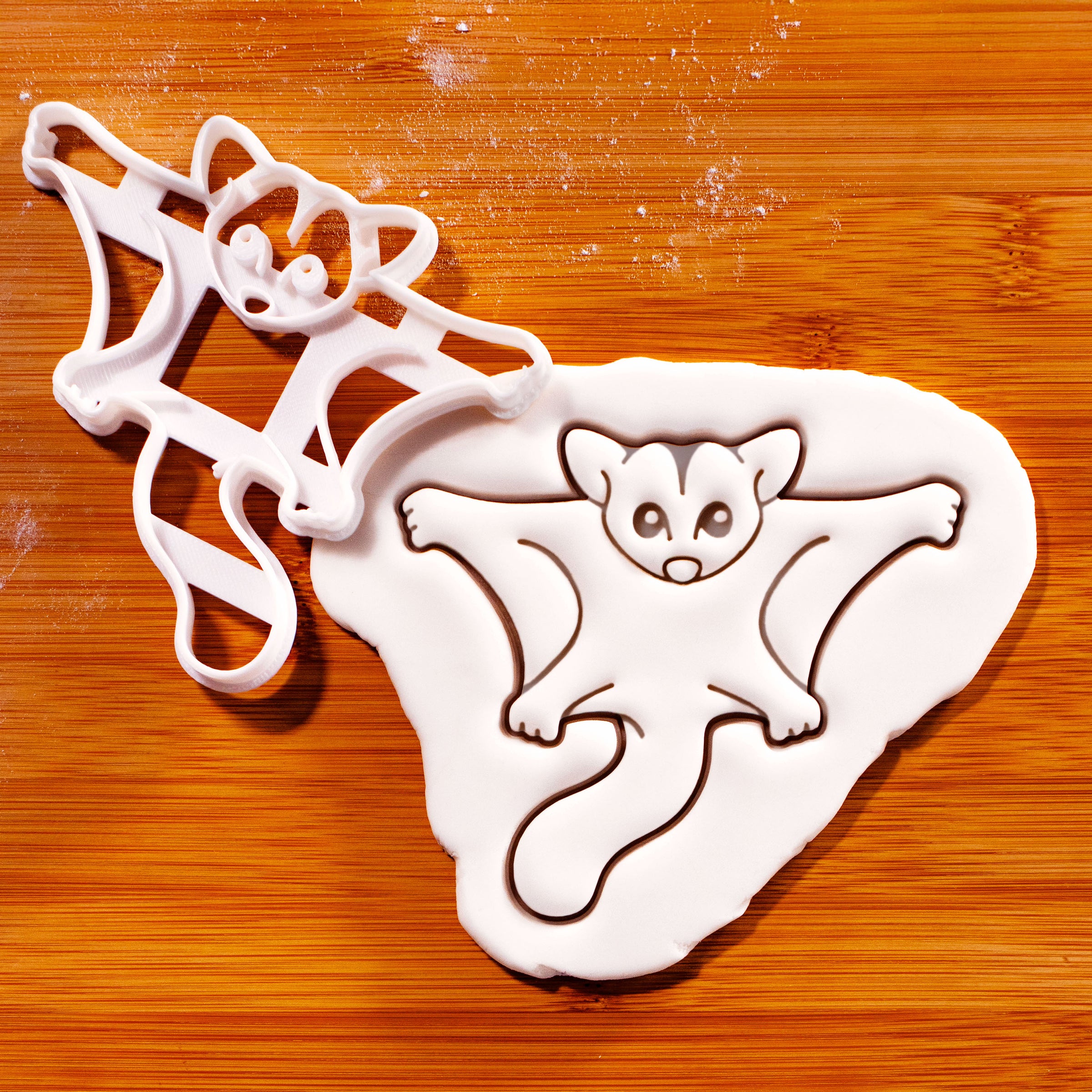 Flying Sugar Glider