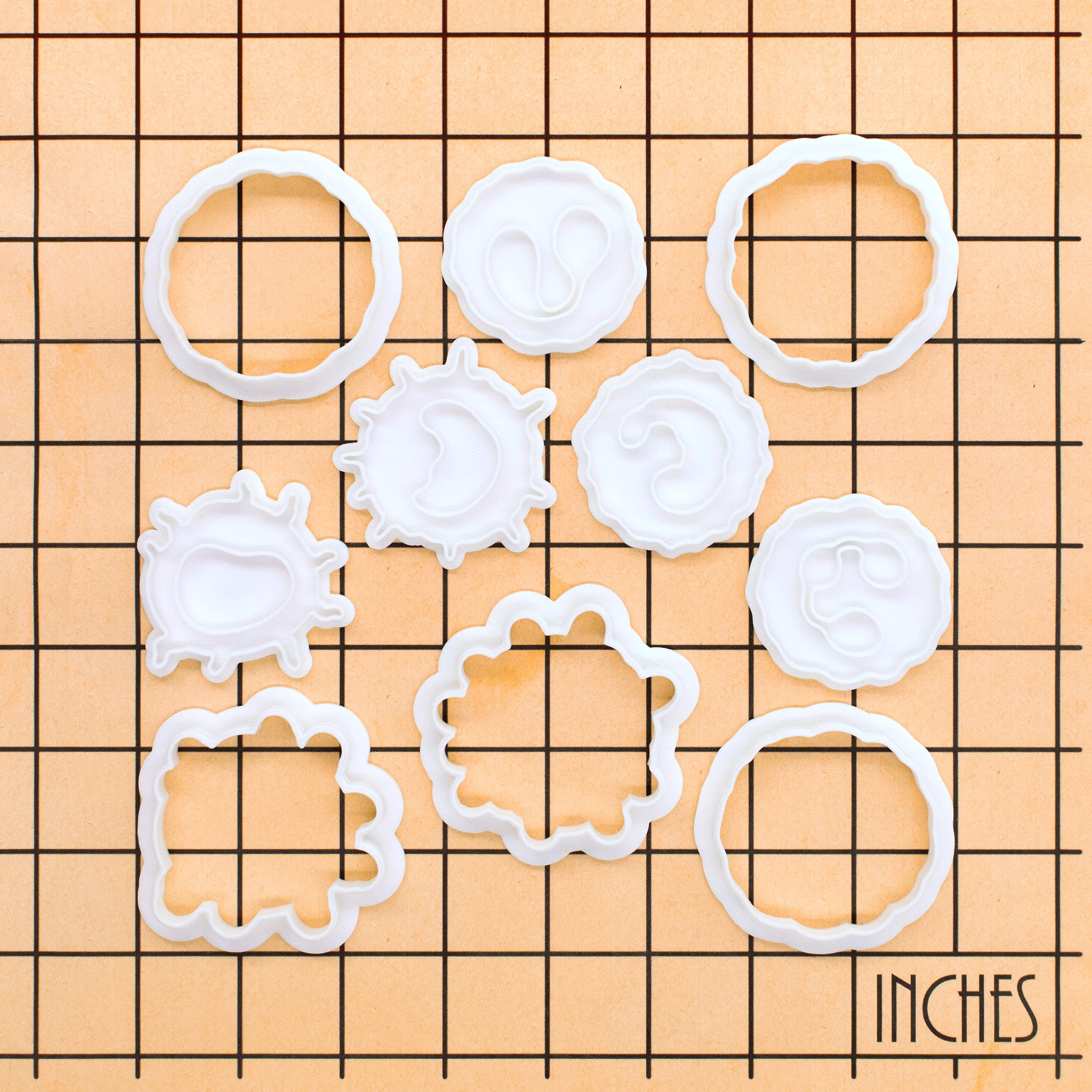 Set of 5 White Blood Cells Mini Set