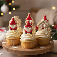 Cottage House & Christmas Gnome Mini Set