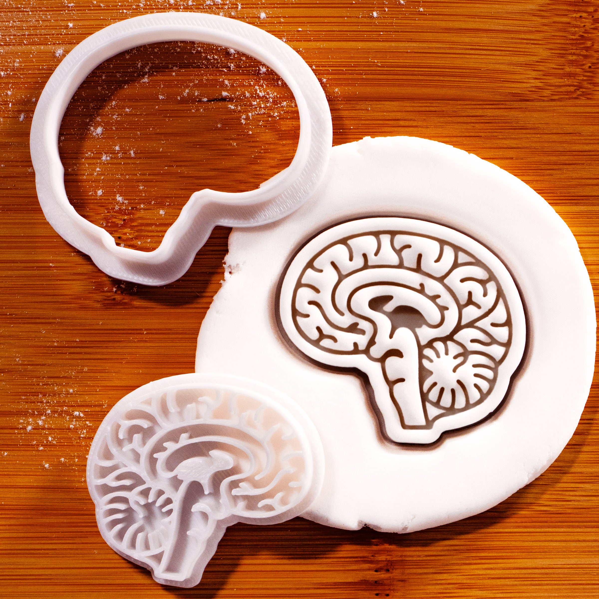 Sagittal View Brain Mini Cookie Cutter & Stamp Set