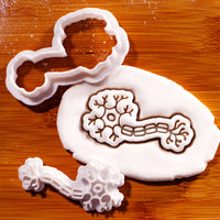 Neuron Mini Cookie Cutter & Stamp Set