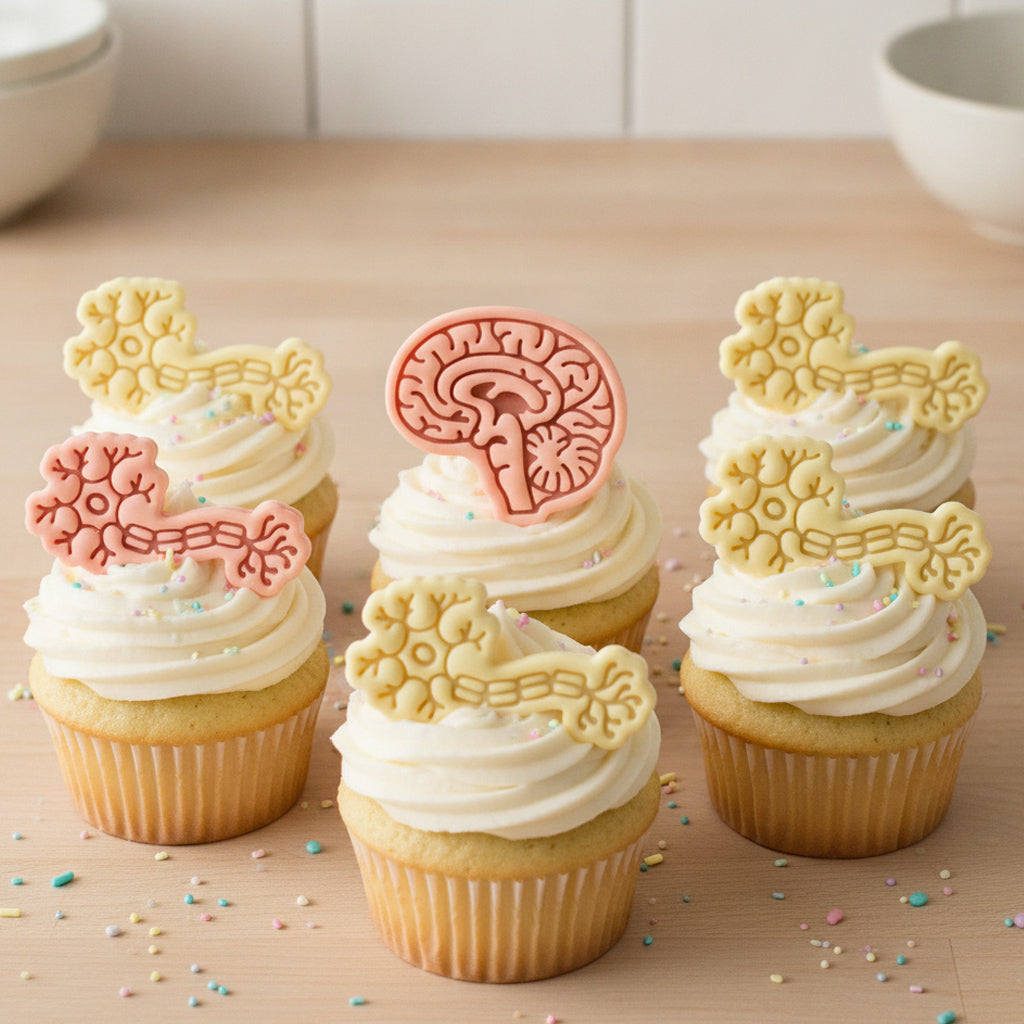Set of 2 Sagittal Brain & Neuron Mini Cookie Cutter & Stamp Set