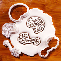 Set of 2 Sagittal Brain & Neuron Mini Cookie Cutter & Stamp Set