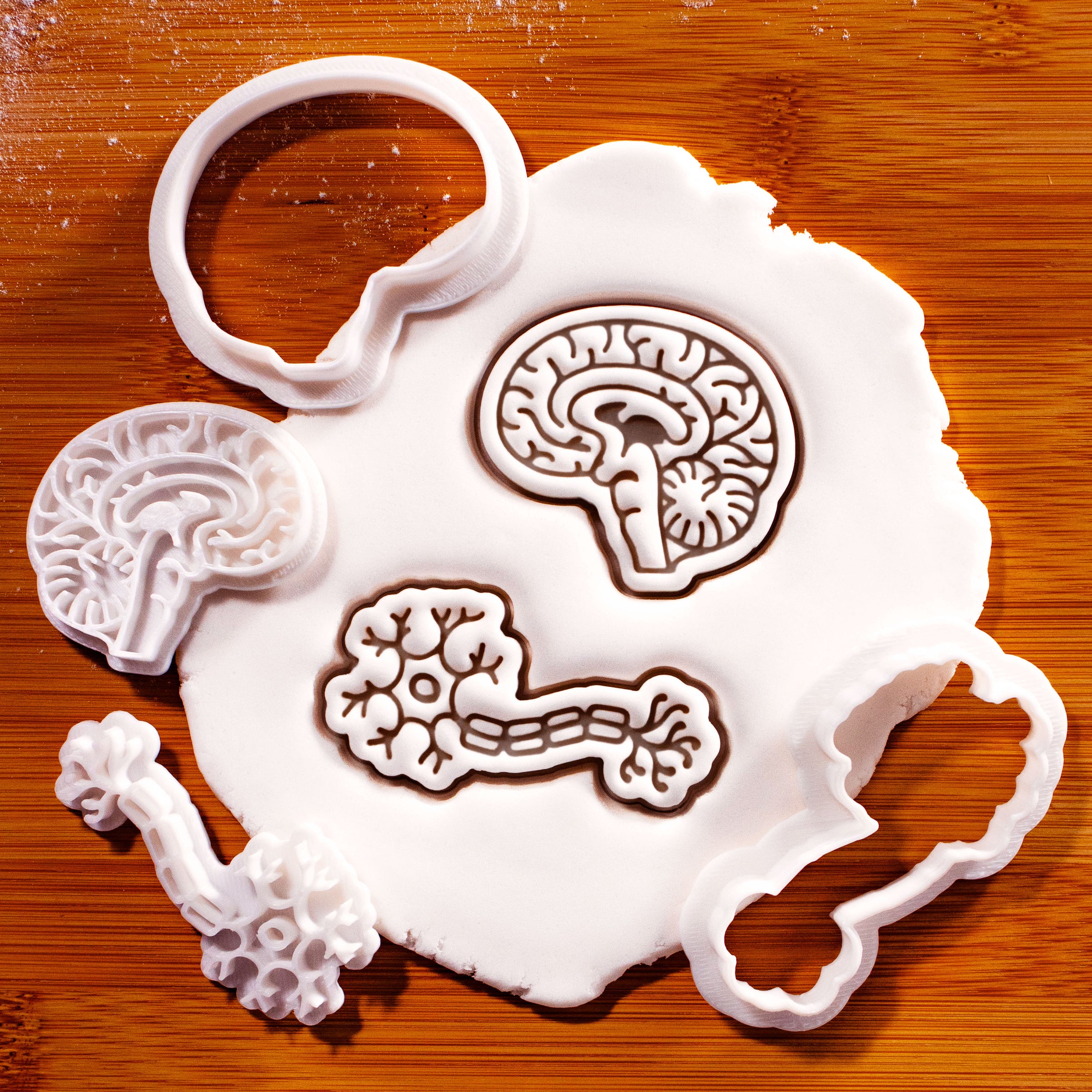 Set of 2 Sagittal Brain & Neuron Mini Cookie Cutter & Stamp Set
