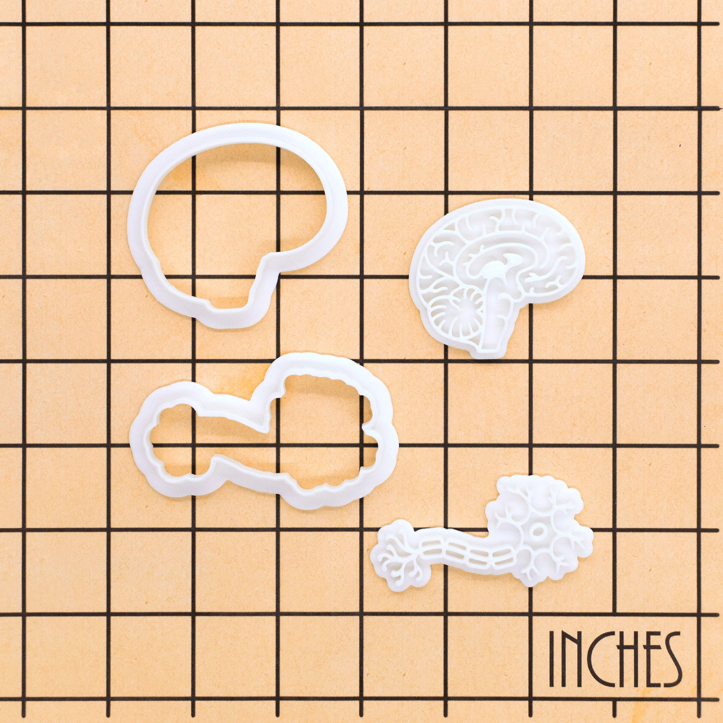 Set of 2 Sagittal Brain & Neuron Mini Cookie Cutter & Stamp Set