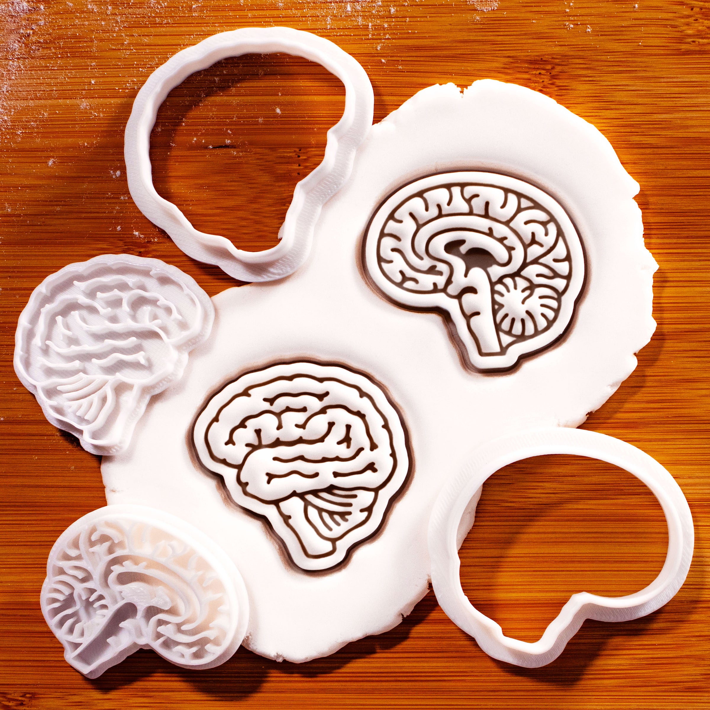 Set of 2 Sagittal & Lateral Brain Mini Cookie Cutter & Stamp Set