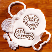 Set of 2 Lateral Brain & Neuron Mini Cookie Cutter & Stamp Set