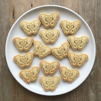 Pelvis Mini Cookie Cutter & Stamp Set