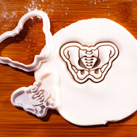 Pelvis Mini Cookie Cutter & Stamp Set