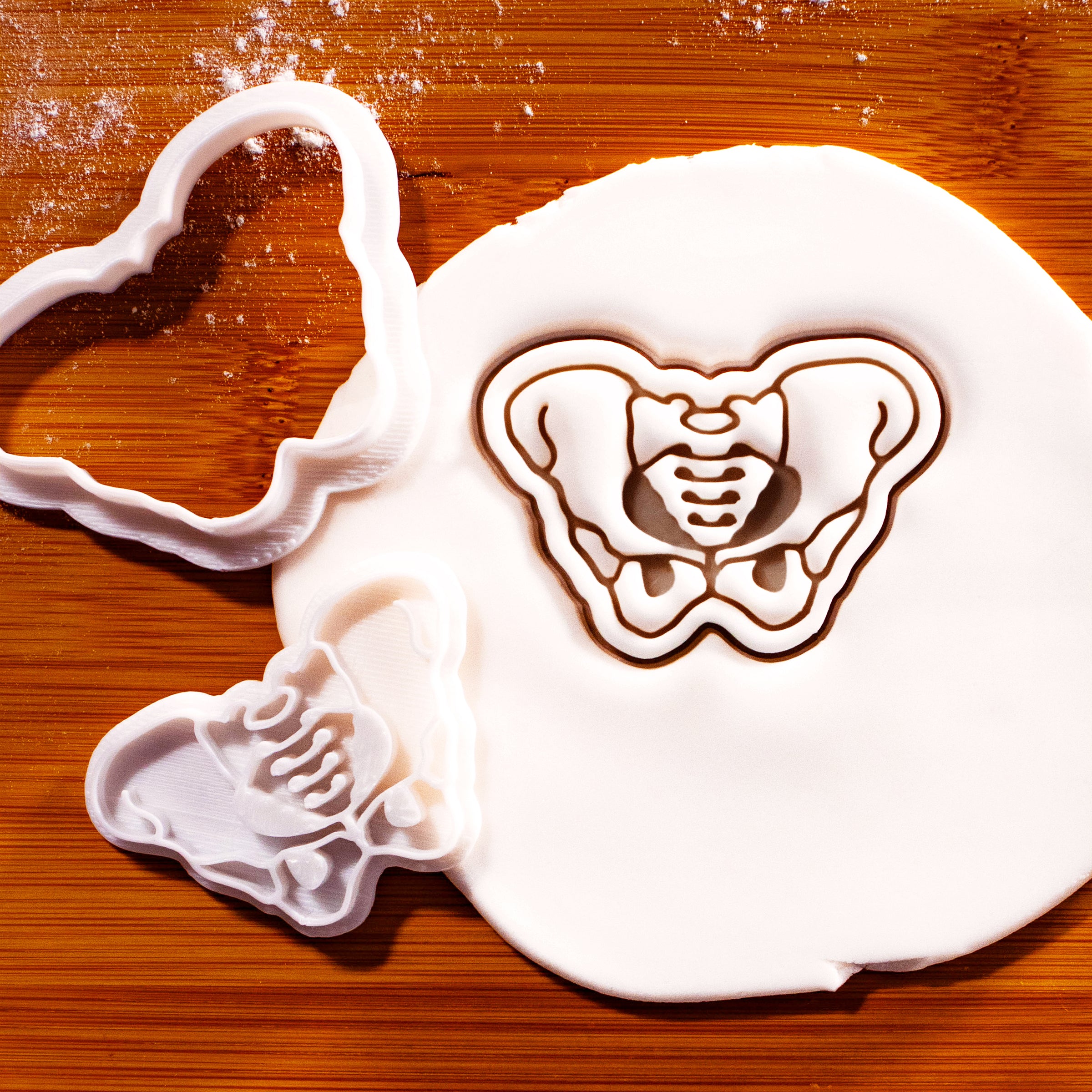 Pelvis Mini Cookie Cutter & Stamp Set