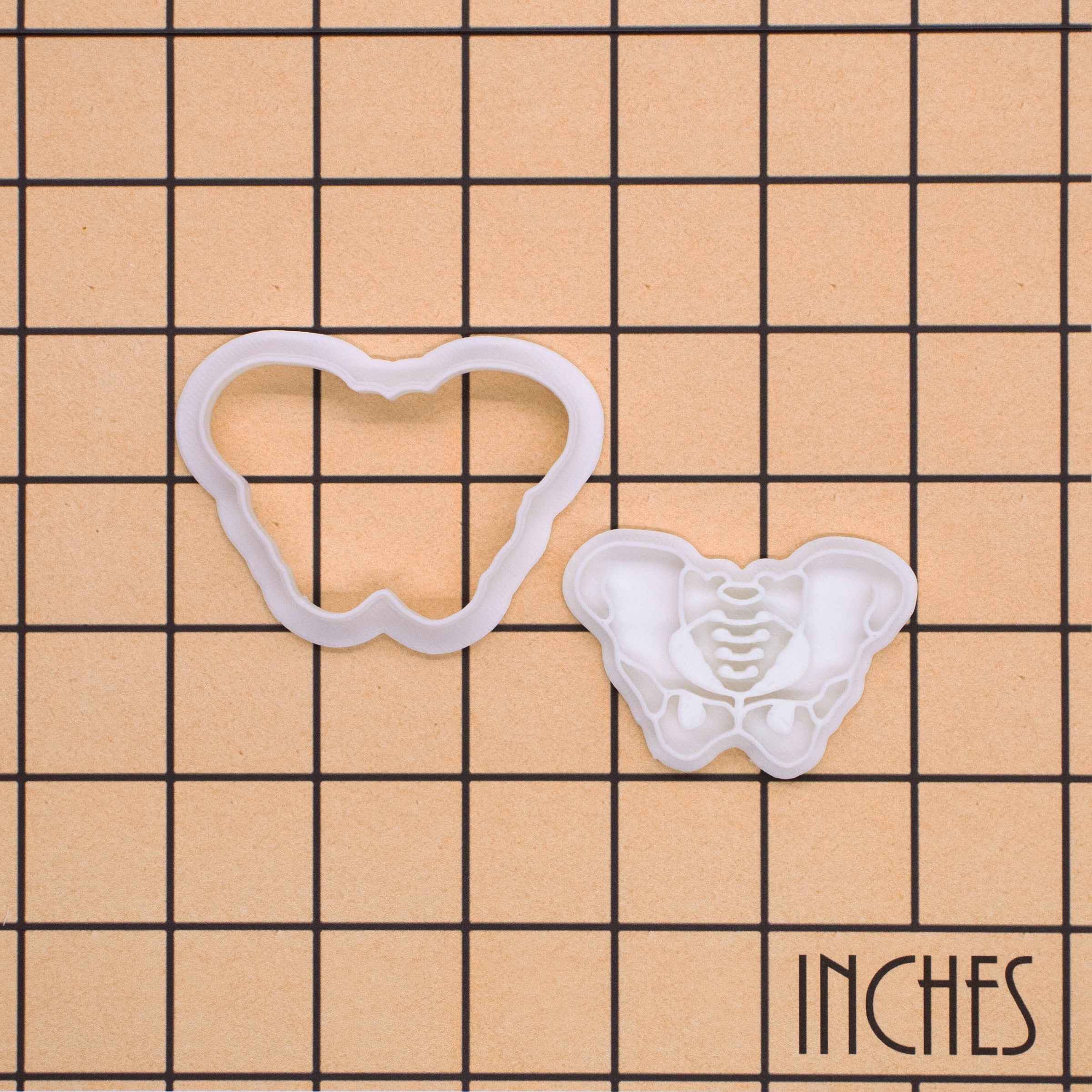 Pelvis Mini Cookie Cutter & Stamp Set