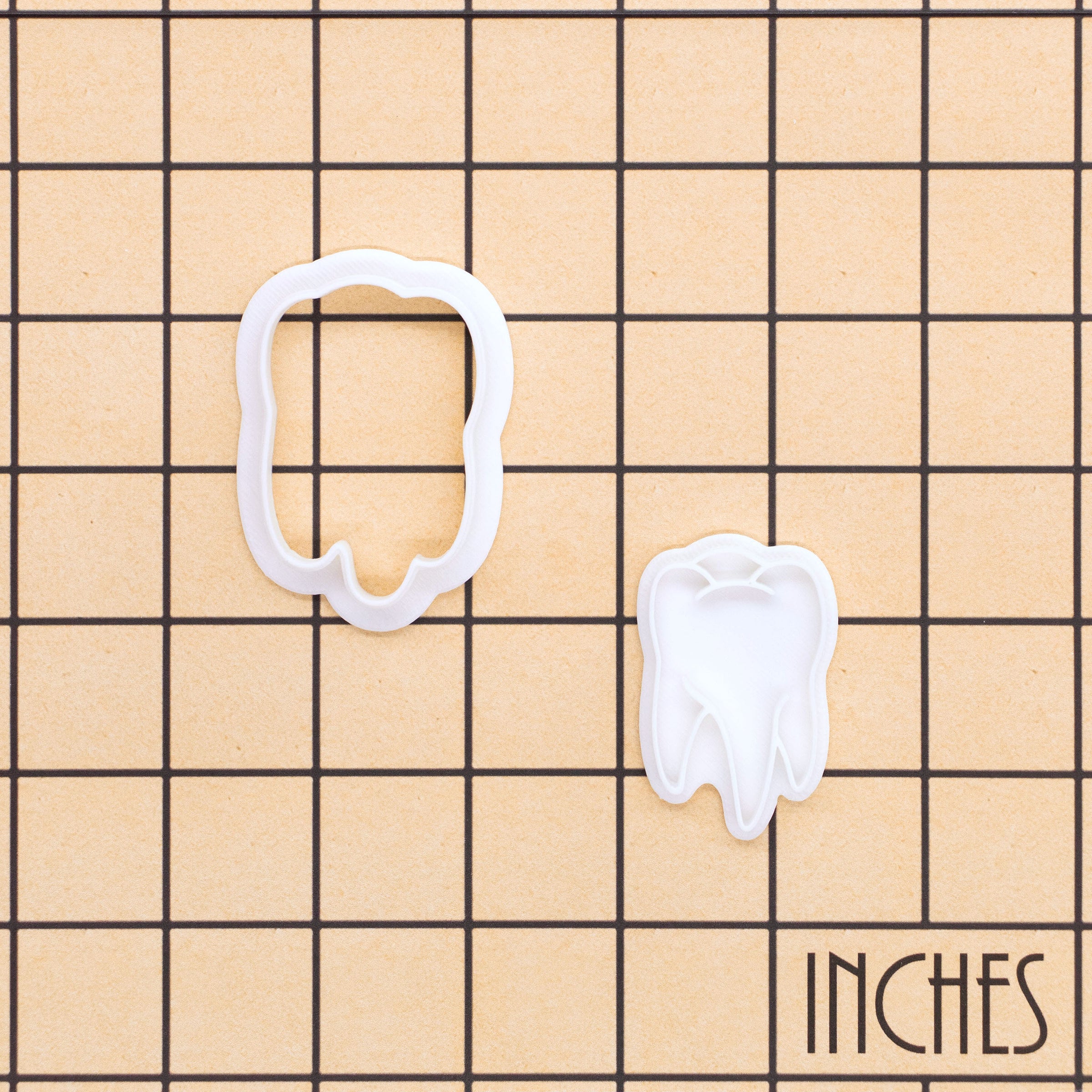 Realistic Tooth Mini Cookie Cutter & Stamp Set