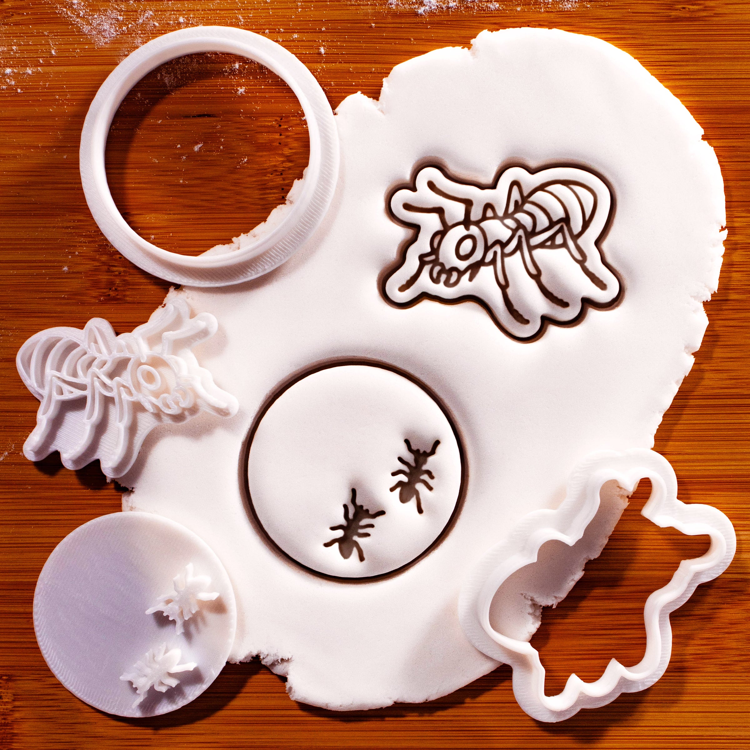 Set of 2 Realistic Ant & Ants Trail Mini Cookie Cutter & Stamp Set