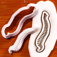 Human spine mini cookie cutter and stamp set with fondant impression