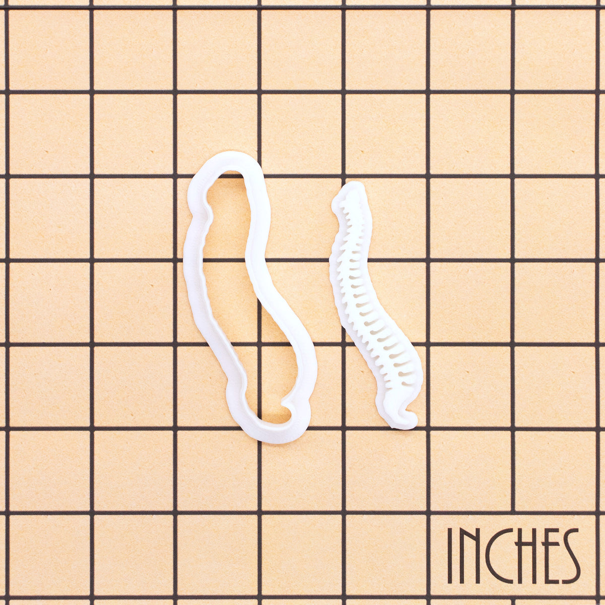 Human spine mini cookie cutter and stamp set on inch grid