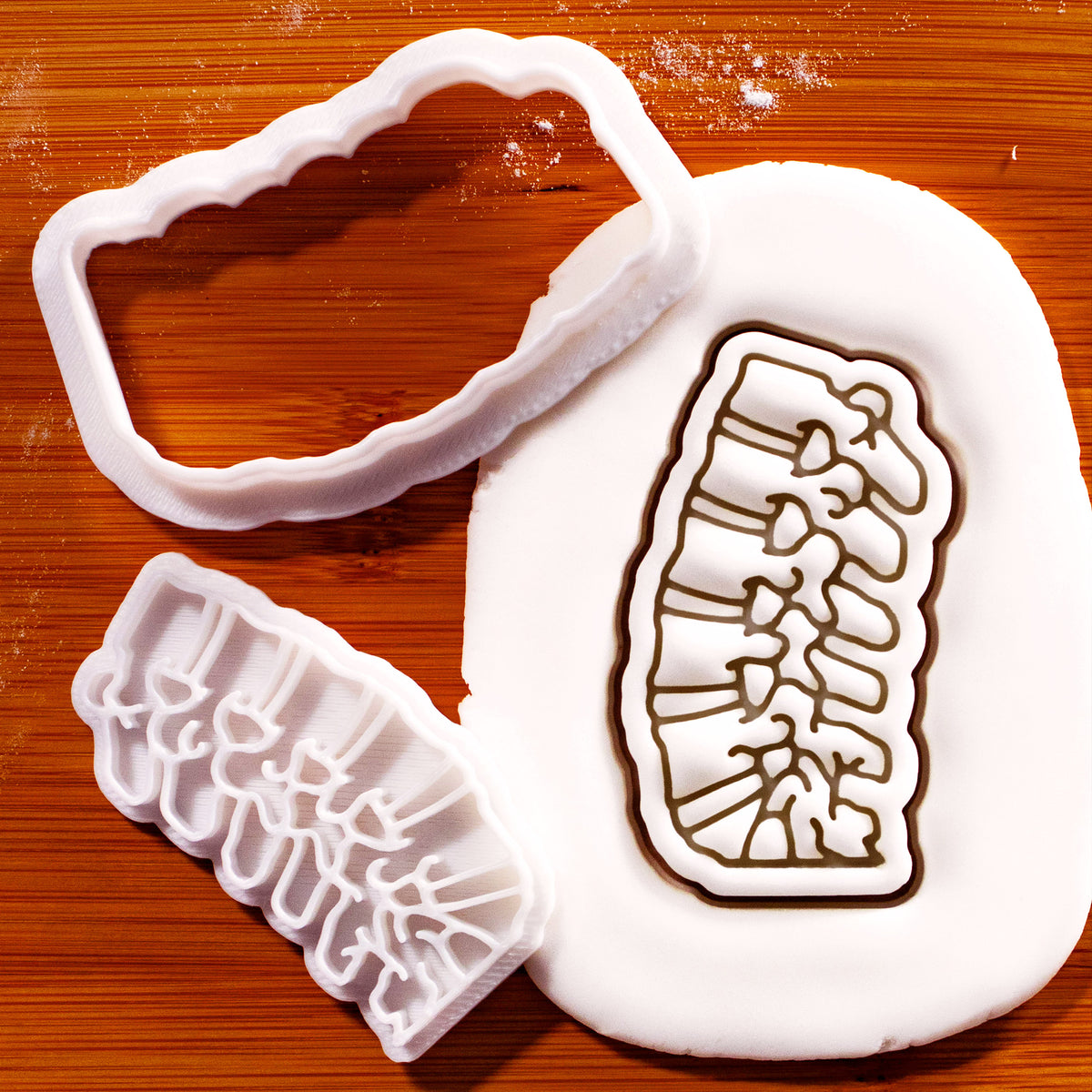 Lumbar spine mini cookie cutter and stamp with detailed fondant impression