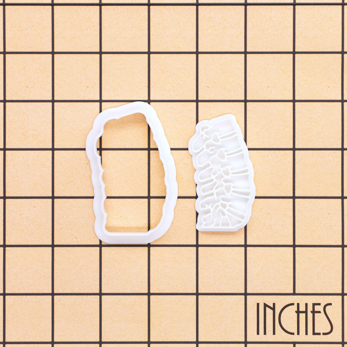 Lumbar spine mini cookie cutter and stamp set on inch grid