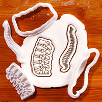 Spine and lumbar mini cookie cutter and stamp set with fondant impressions