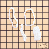 Spine and lumbar mini cookie cutter and stamp set on inch grid