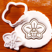 Orchid flower mini cookie cutter and stamp with detailed Phalaenopsis fondant impression