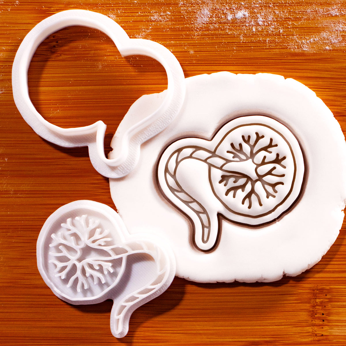 Placenta mini 2-piece cookie cutter and detailed stamp pressed into white fondant