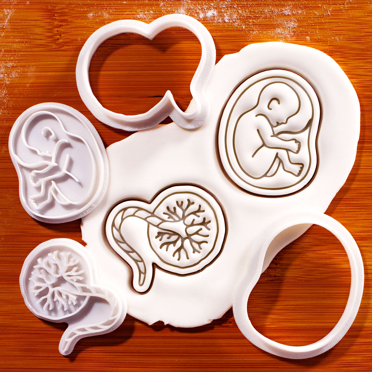 20-week foetus and placenta mini cookie cutter and stamp set with detailed sugarpaste impressions