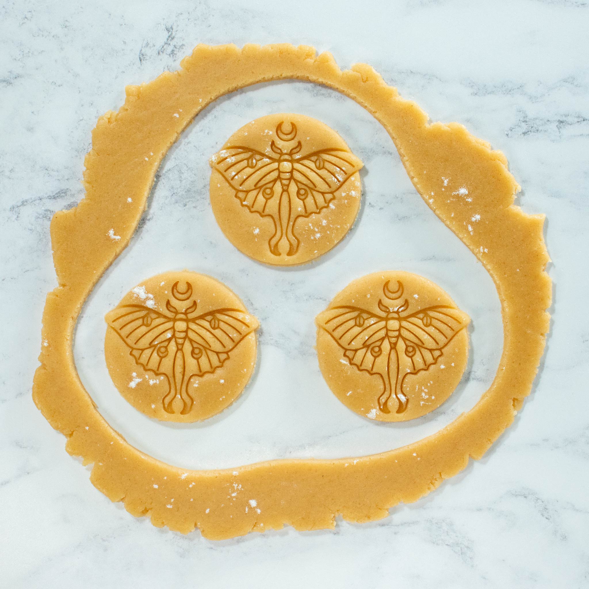 bakerlogy luna moth cookie cutout dough