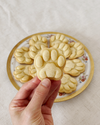 Realistic Kitty Paw
