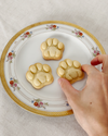 Realistic Kitty Paw