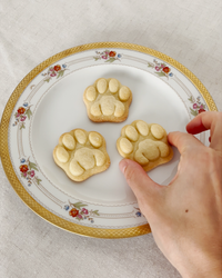 Realistic Kitty Paw