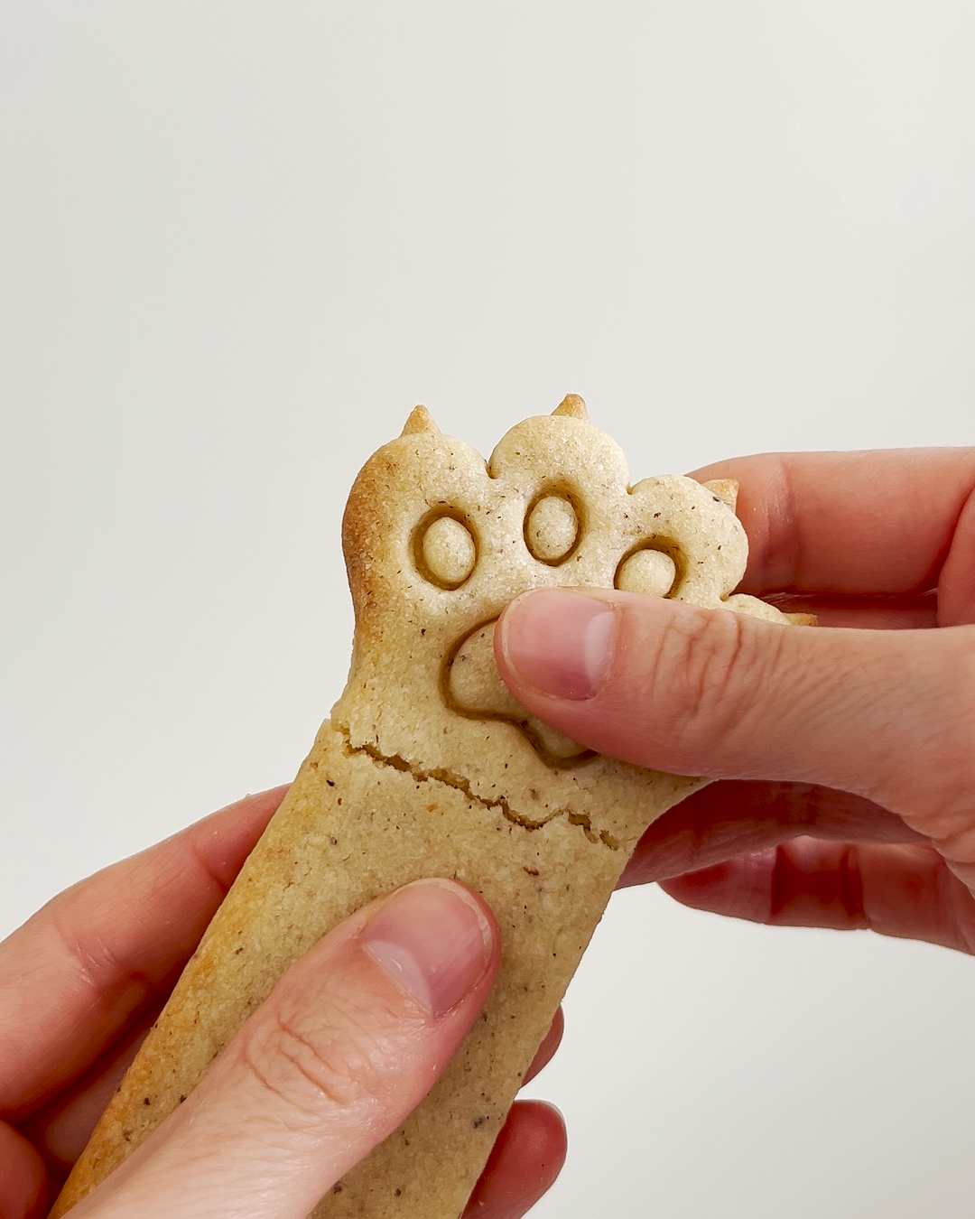 Kitty Paw Claws