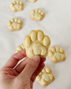 Realistic Kitty Paw