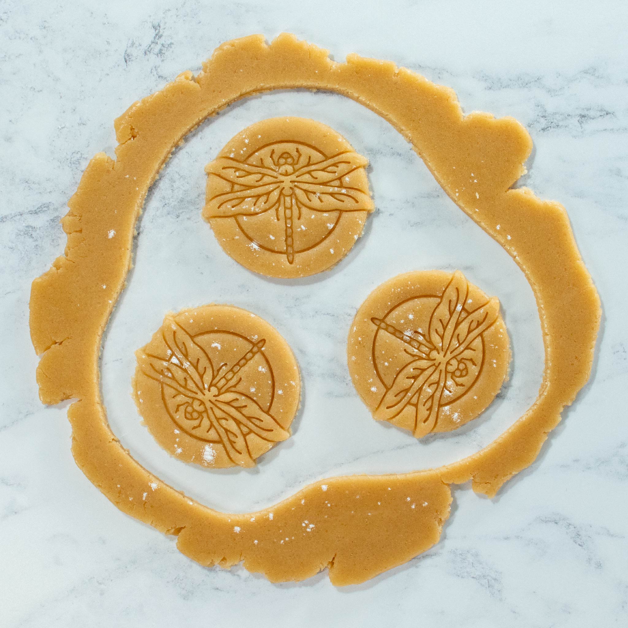bakerlogy realistic dragonfly cookie cutout dough