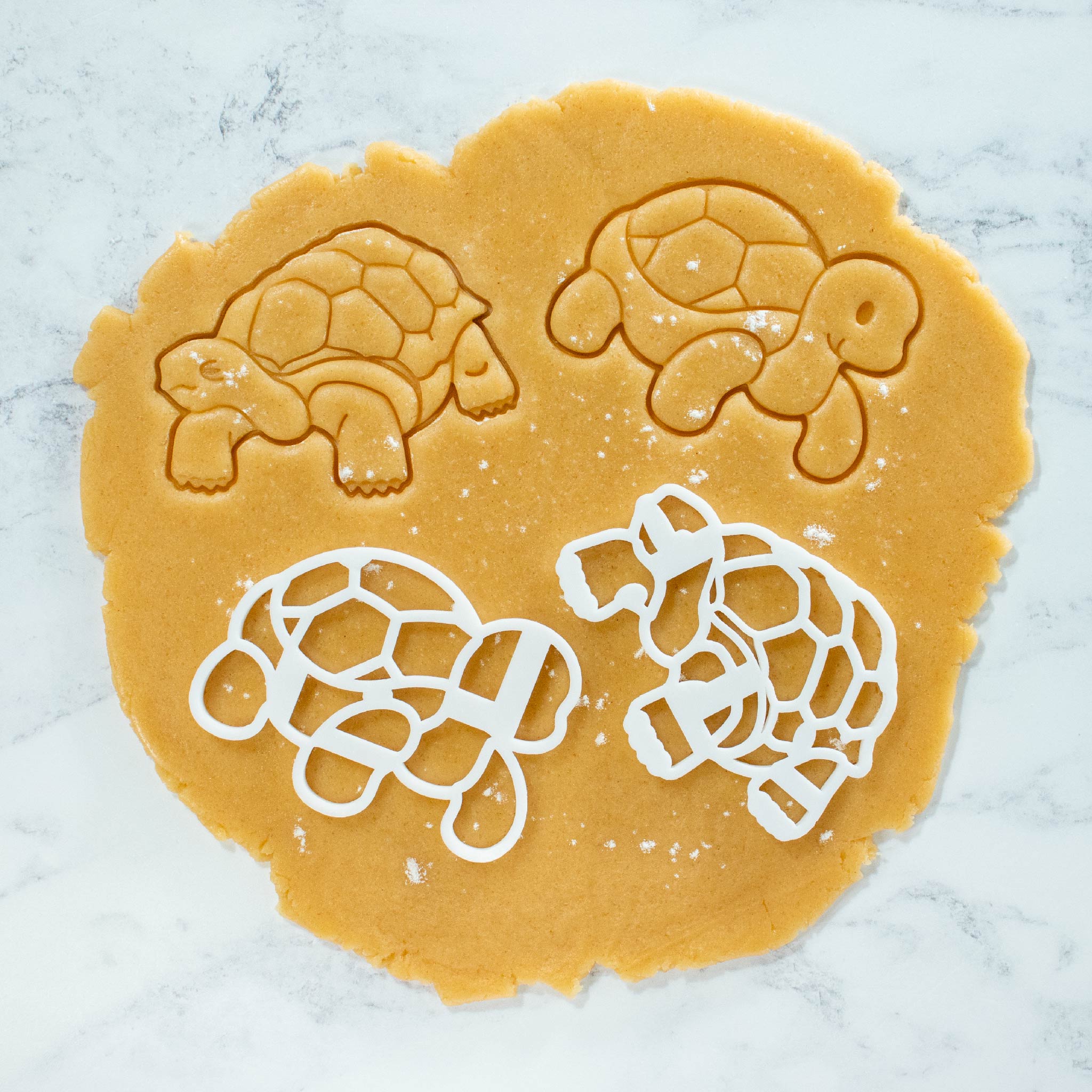 bakerlogy wise tortoise and cute tortoise cookie cutter