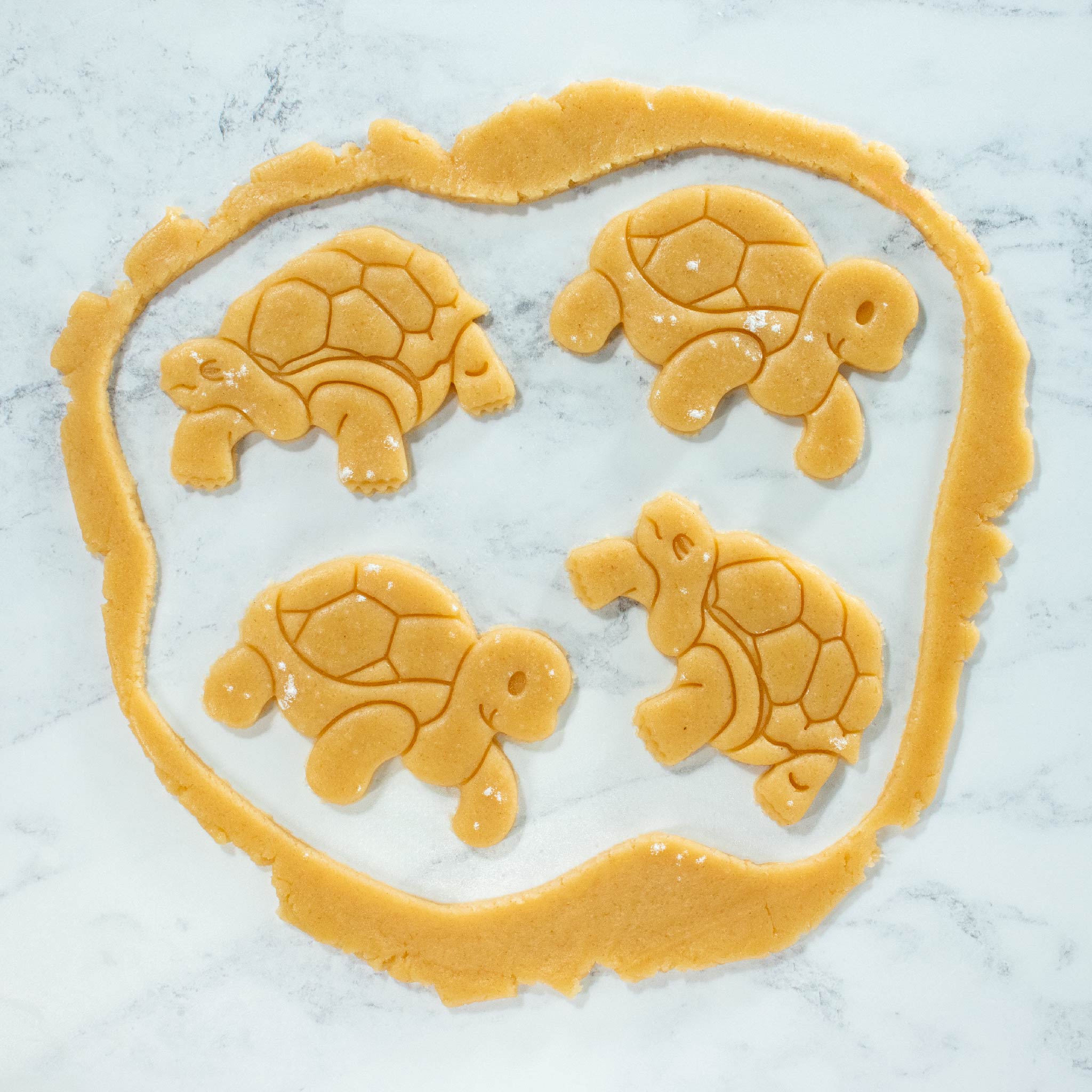 bakerlogy wise tortoise and cute tortoise cookie cutout dough