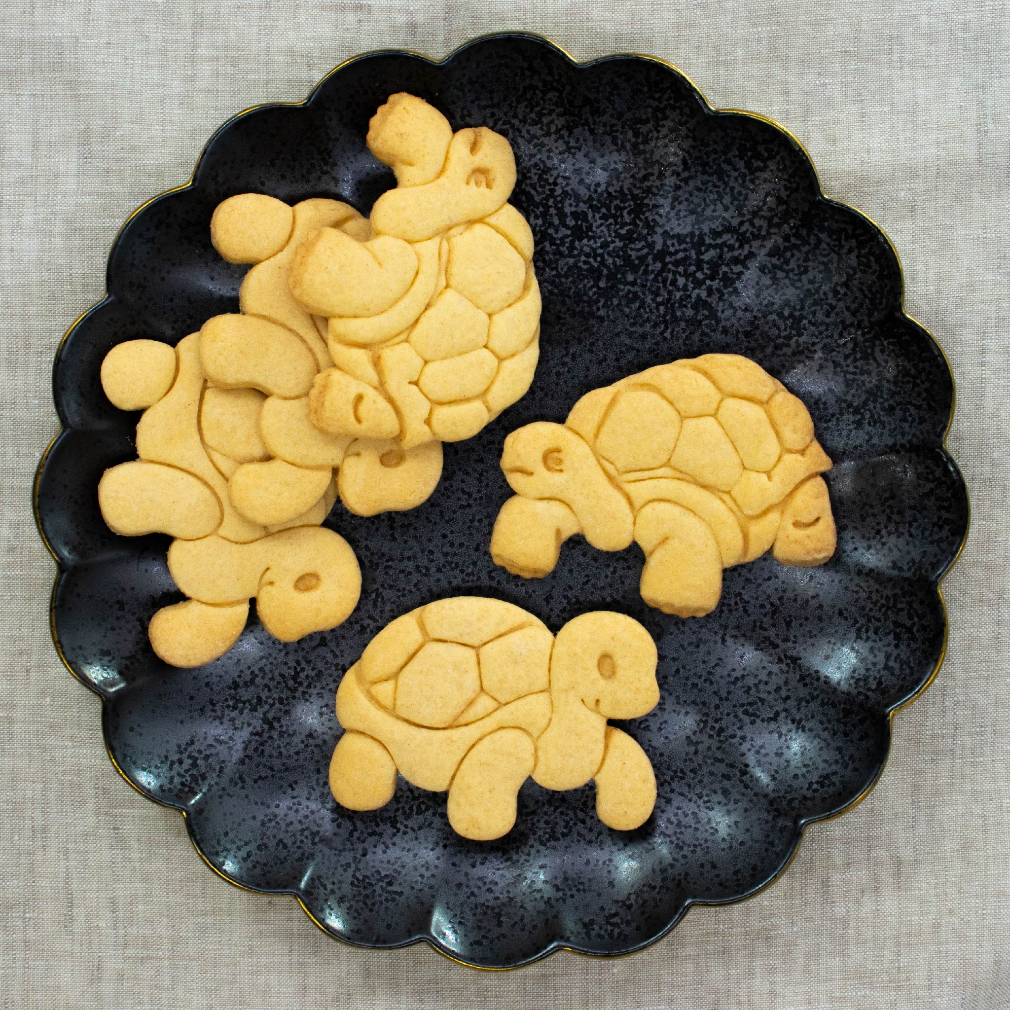 bakerlogy wise tortoise and cute tortoise cookies