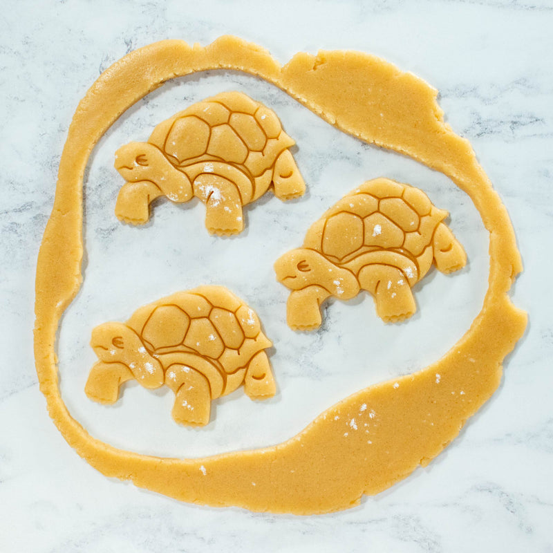 bakerlogy wise tortoise cookie cutout dough