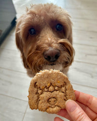 Goldendoodle Set (2pcs)