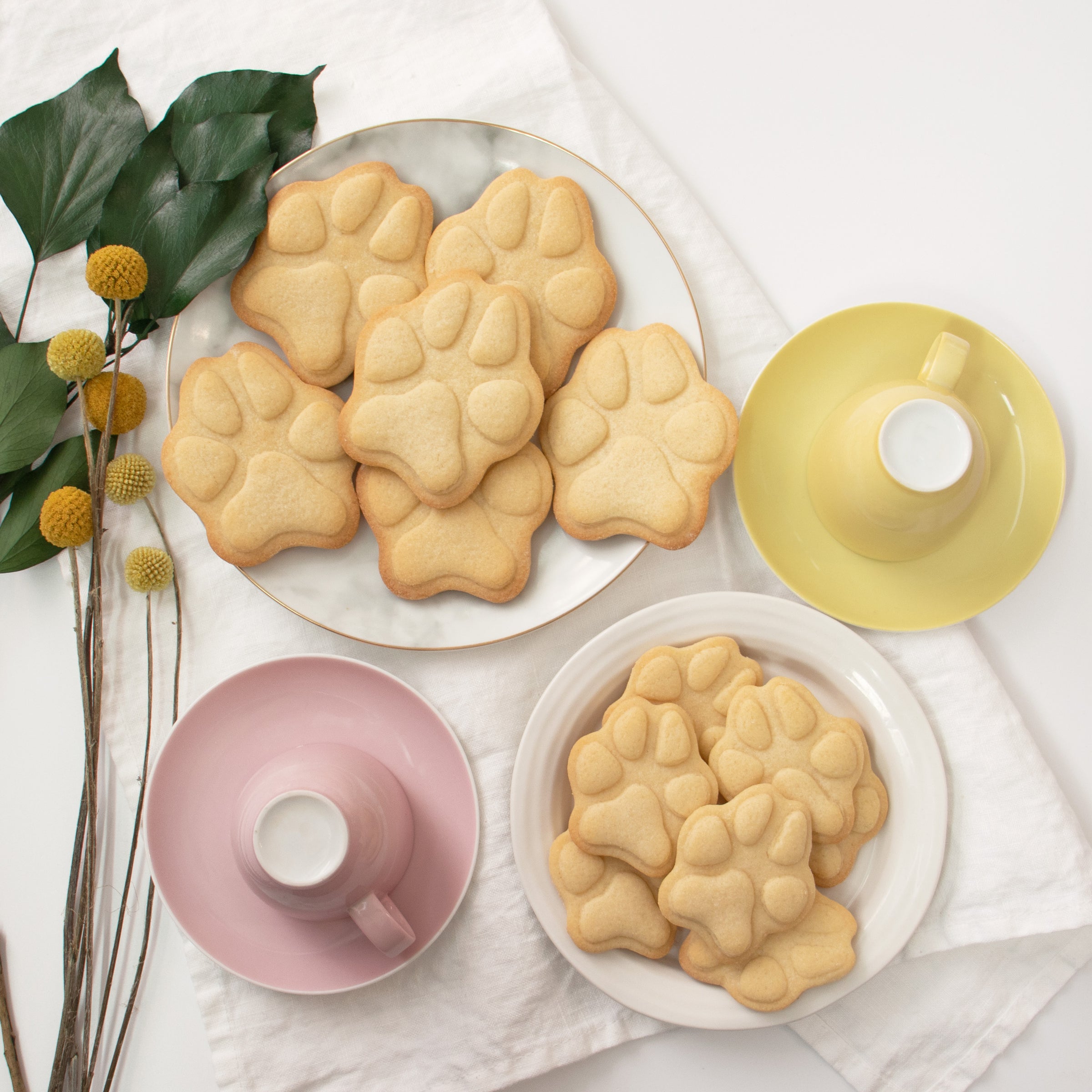 set of 2 realistic dog paw cookies