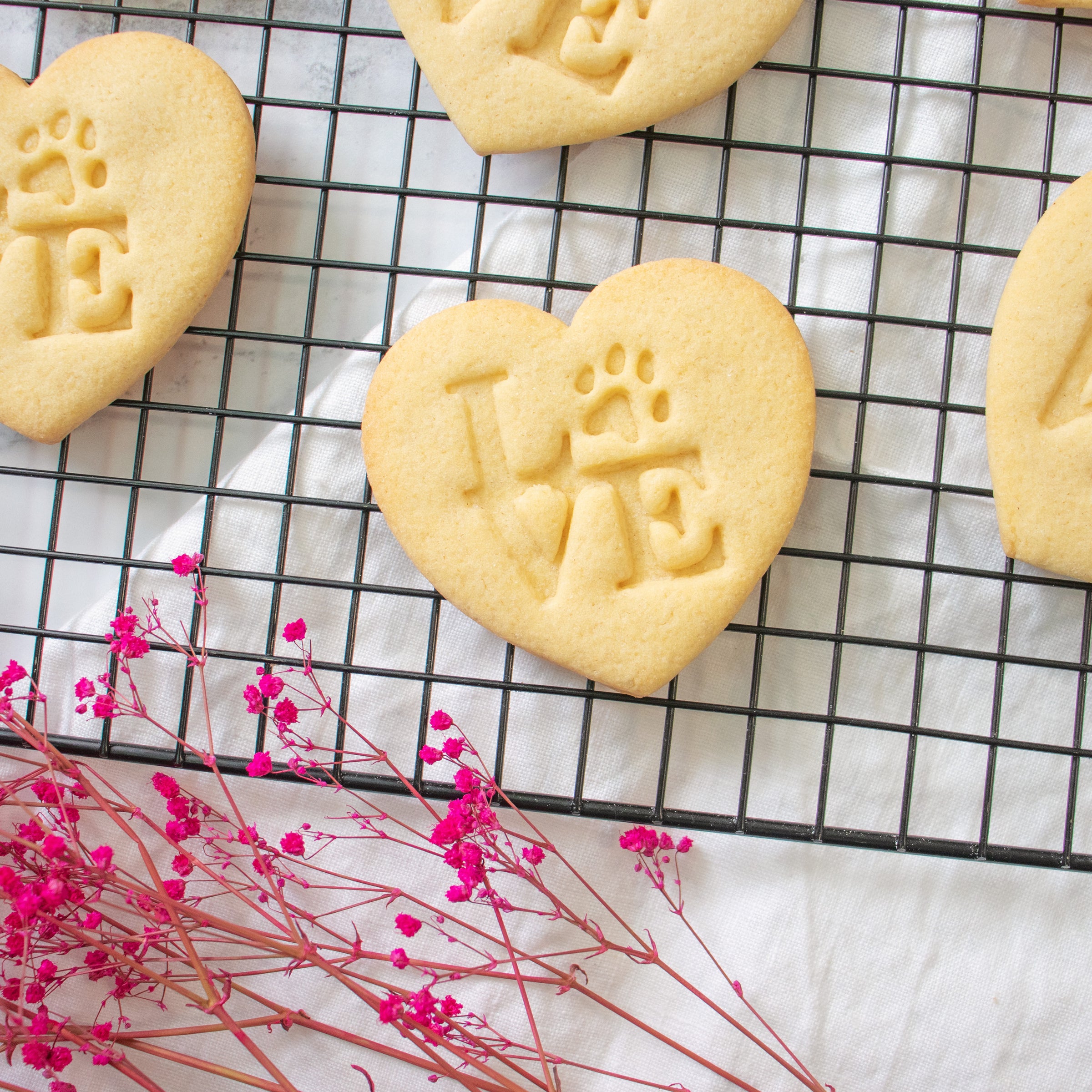 Philly LOVE with Paw Print Cookies (Heart)