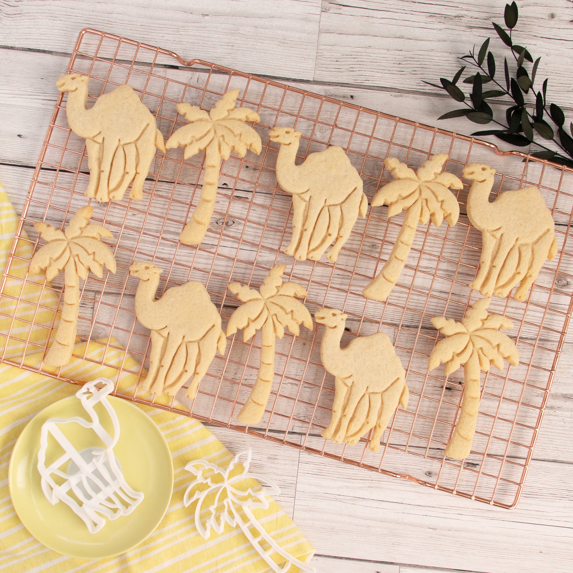 camel and palm tree cookies