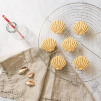 nautical seashell cookies