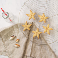 nautical starfish cookies