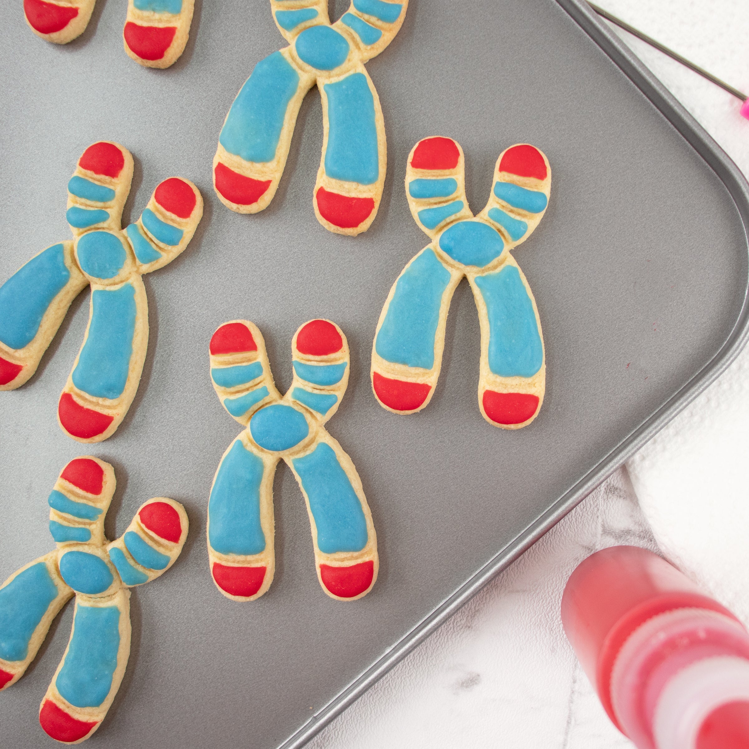Chromosome Y Cookies