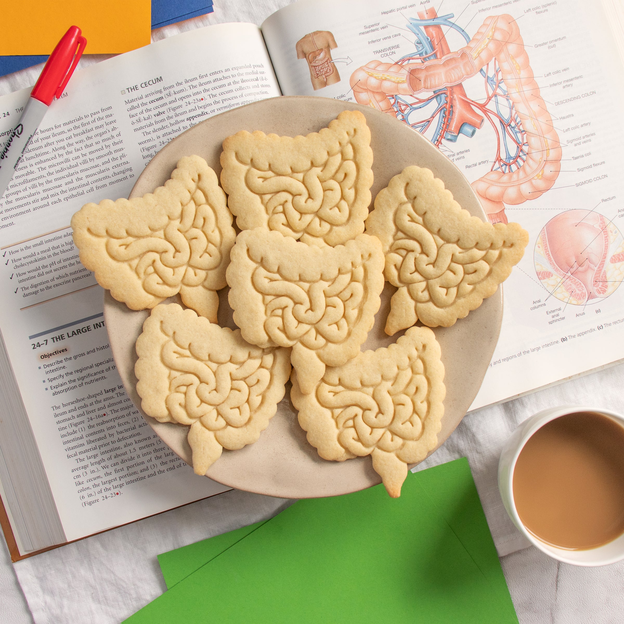 anatomical intestines cookies on a plate