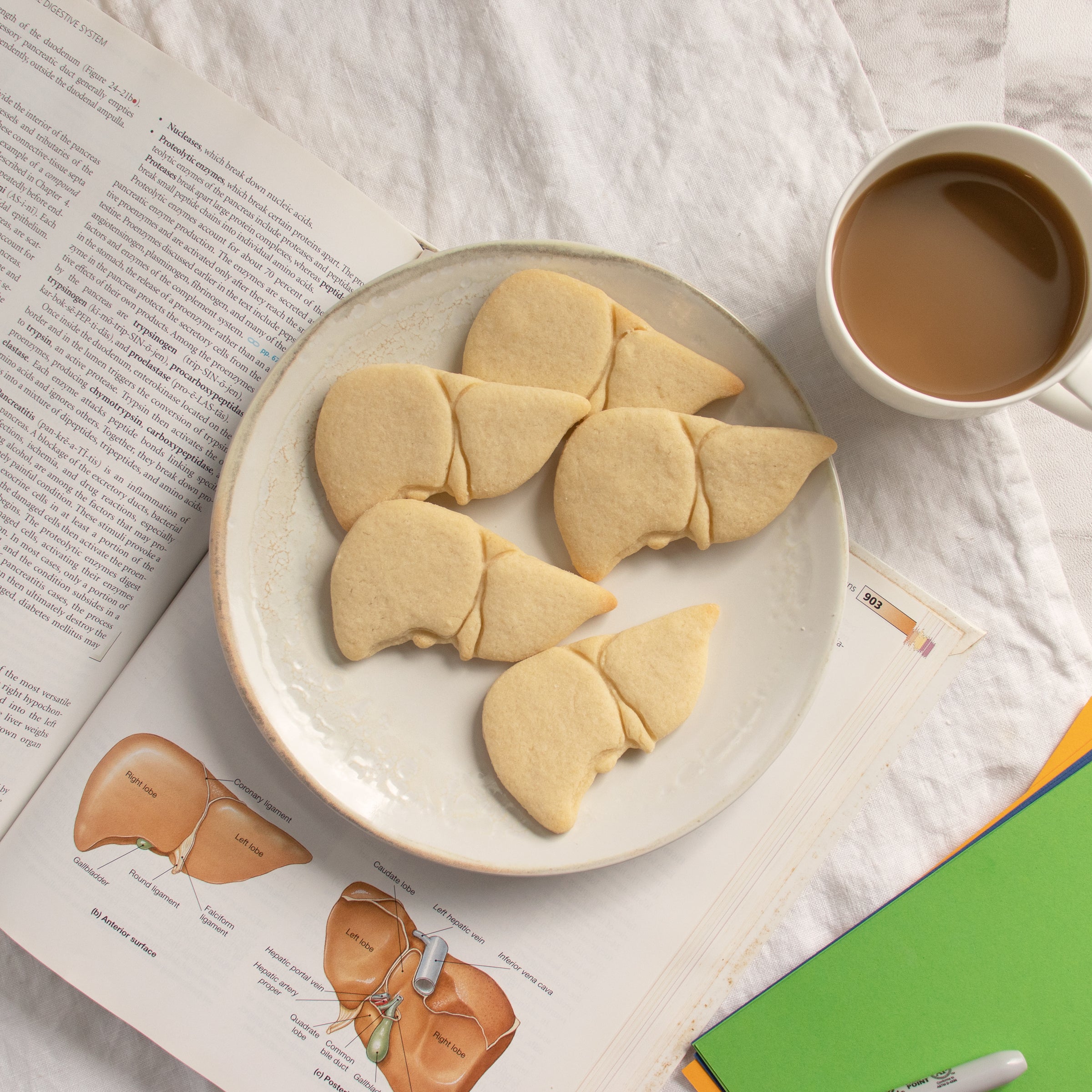 liver anatomy cookies on a plate