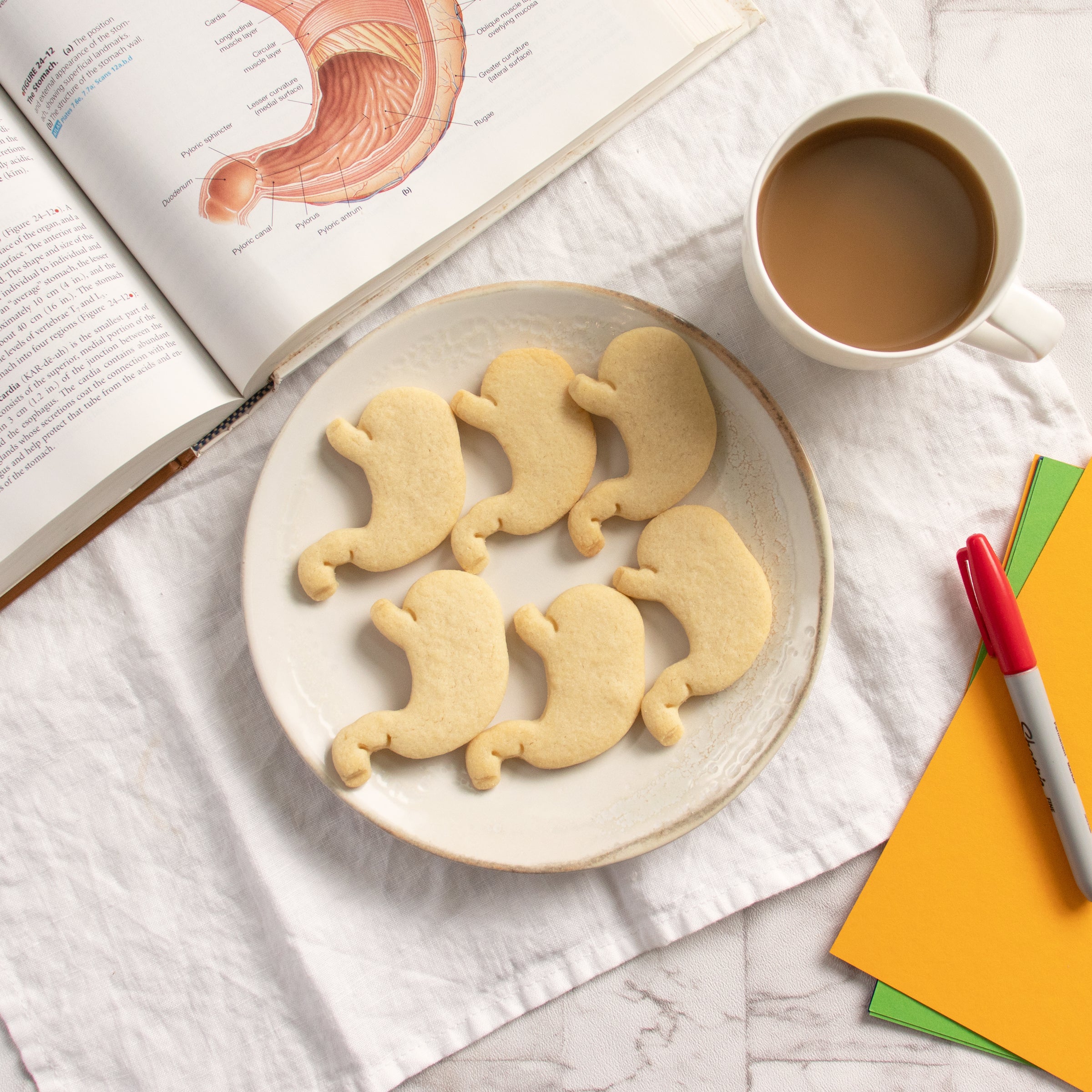 stomach anatomy cookies on a plate