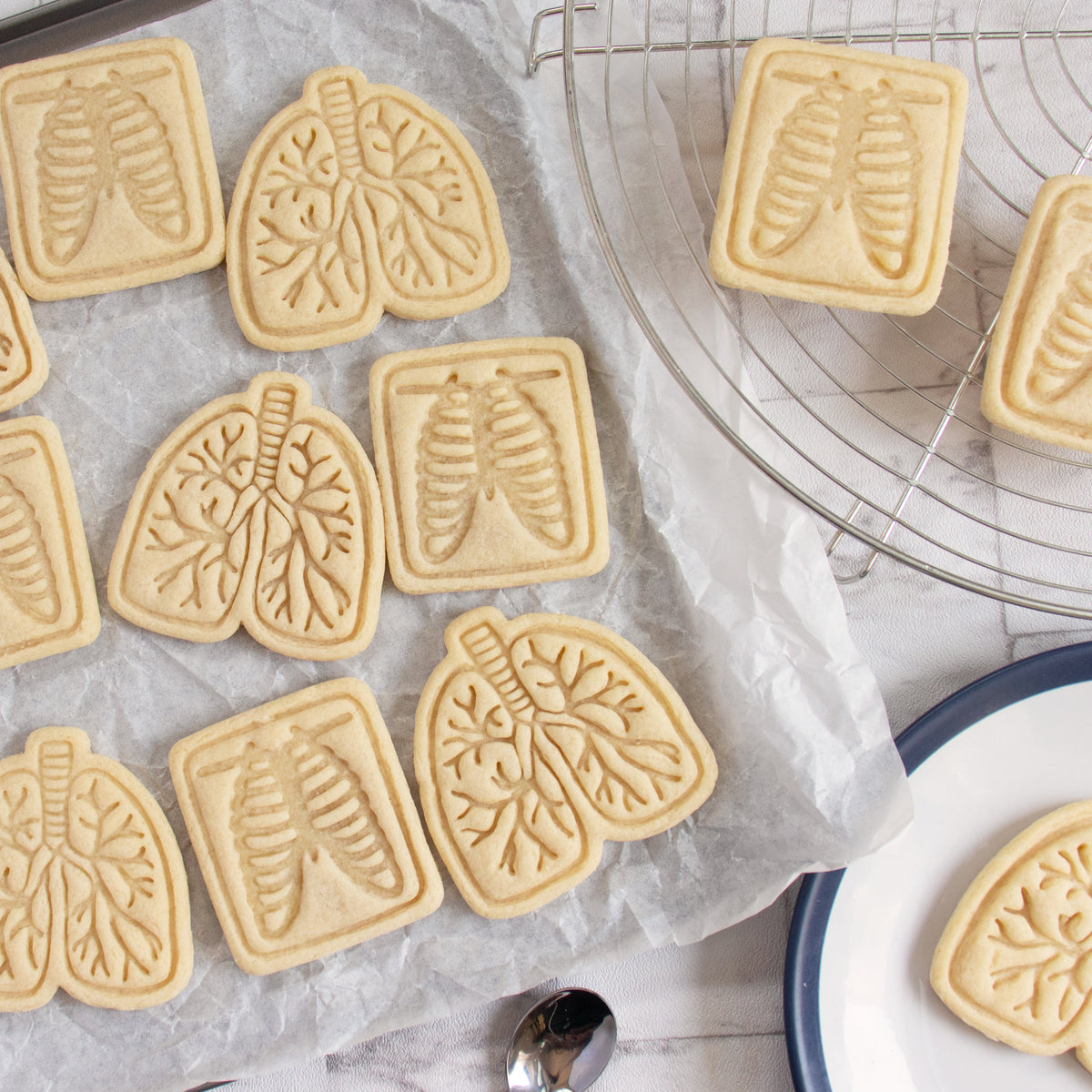 anatomical lungs and chest x-ray cookies